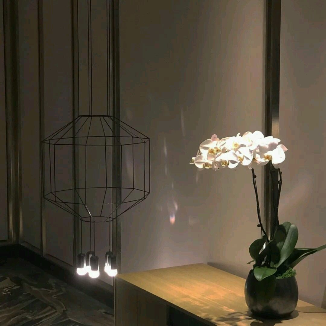 未来有什么行业好发展-企贝网