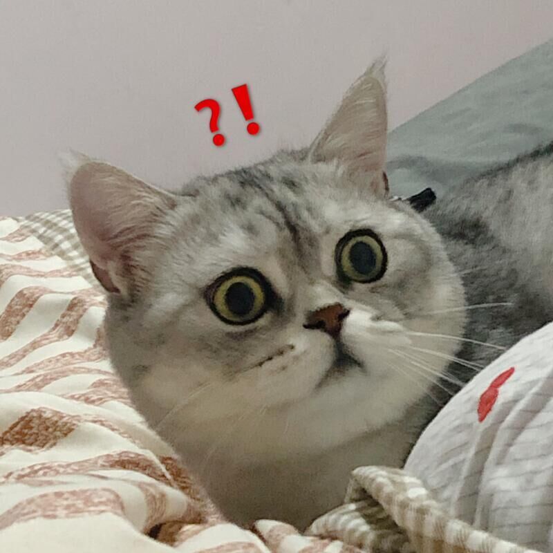 金融外包还可以新注册吗-企贝网