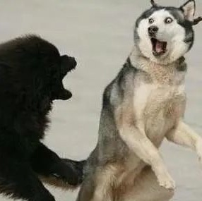 2020融资租赁行业发展现状如何？-企贝网