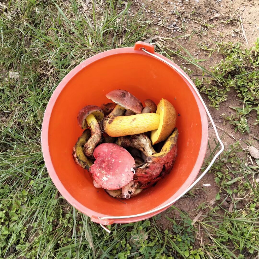 转：成都公路二级资质-企贝网