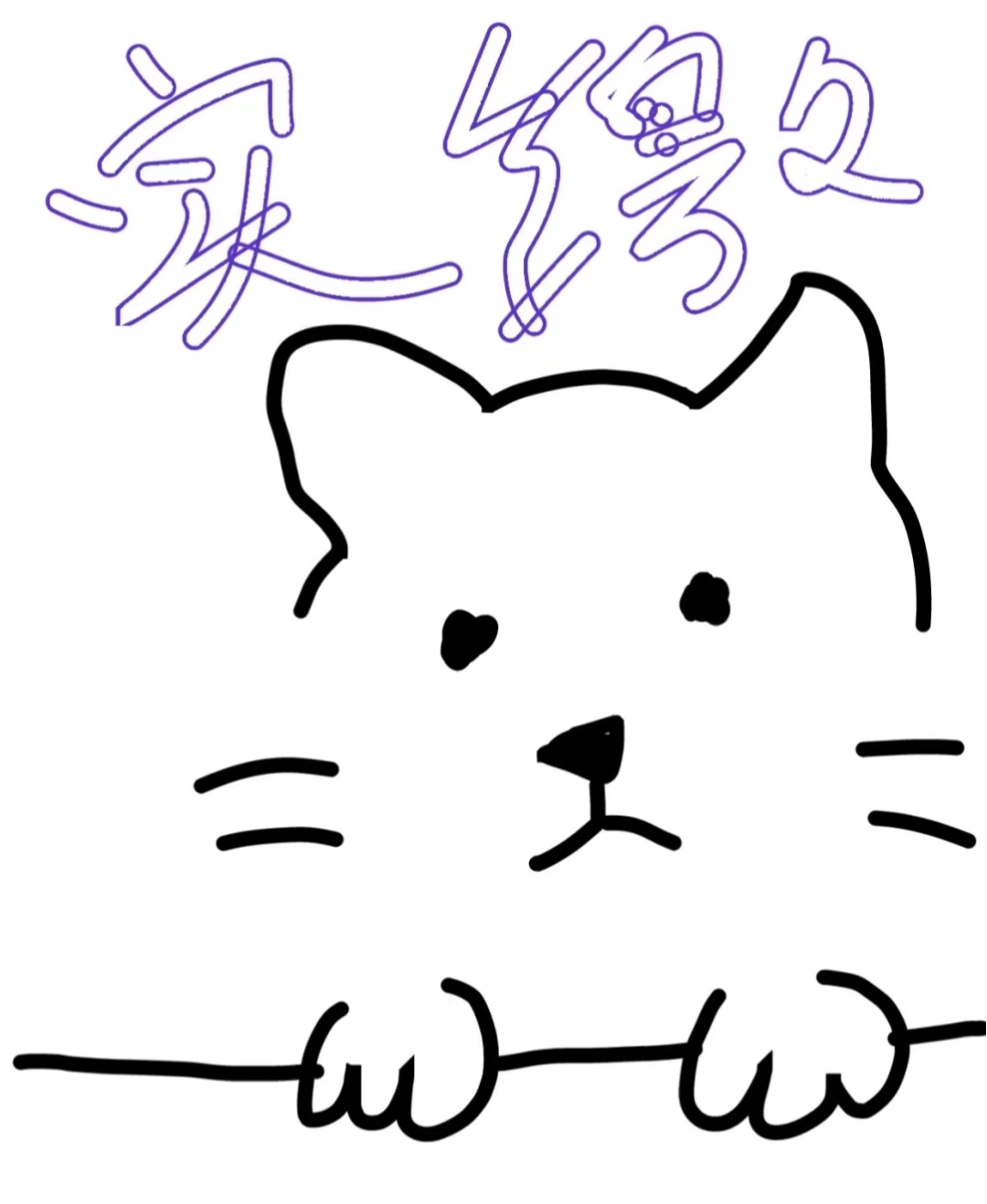 公司实缴，验资报告备案，都可以做-企贝网